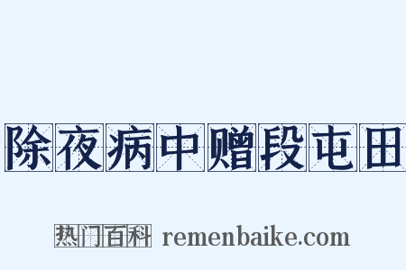 除夜病中赠段屯田是什么意思的图片
